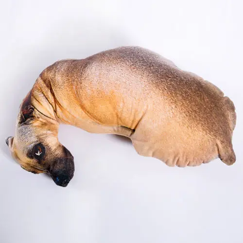

It's not a dog, just a throw pillow. Funny 3D dog print pillow creative gift