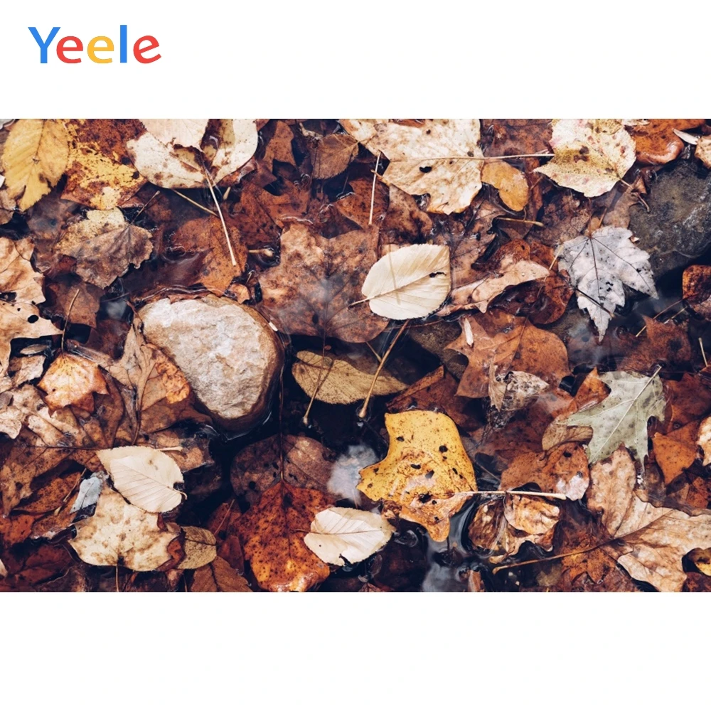

Yeele Photocall Stone Road Fallen Leaves Grunge Photography Backdrops Personalized Photographic Backgrounds For Photo Studio