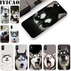 Твердый Чехол для iPhone 4, 4S, 5, 5S, Se, 6, 7, 7 plus, 8, 8 Plus, X, XS, MAX, XR, 6s Plus, 11 pro max