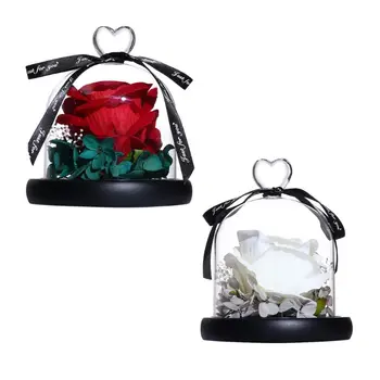 

Eternal Exclusive Rose In Glass Dome Romantic Decor Valentine's Day Mother's Birthday Gifts Holiday Presents