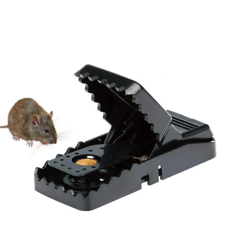 Mastery Trampas para Ratones 6 Pack; Mini Jaula Súper Potente, Rápida y  Portátil; Mouse Trap Fácil de Usar, Segura y Reutilizable para Rata de