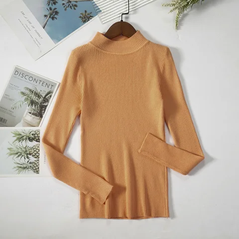 Autumn Winter Basic Turtleneck Sweaters Women Knitting Bottoming Sweaters Warm Pullovers Slim Long Sleeve Tops Female