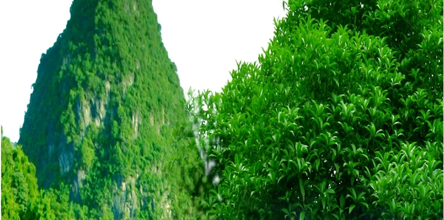 QQ截图20191127230002