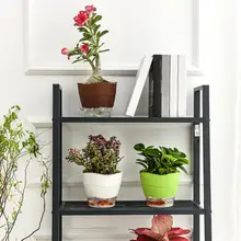 

Plant Pot Convenient Long Lasting Eco-friendly PP Multi-use Mini Spout Flower Pot for Garden Flower Pot Flower Vase