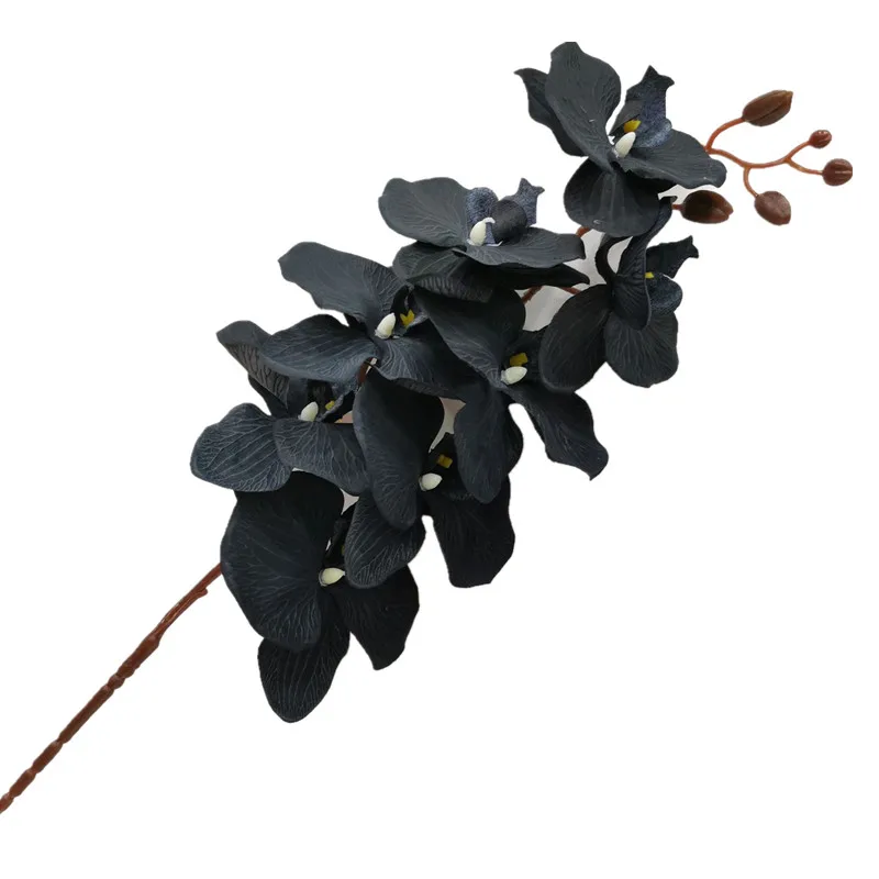 pçs seda preto traça orquídeas phalaenopsis borboleta orquídea flor tamanho grande cabeças para flores artificiais decorativas do casamento