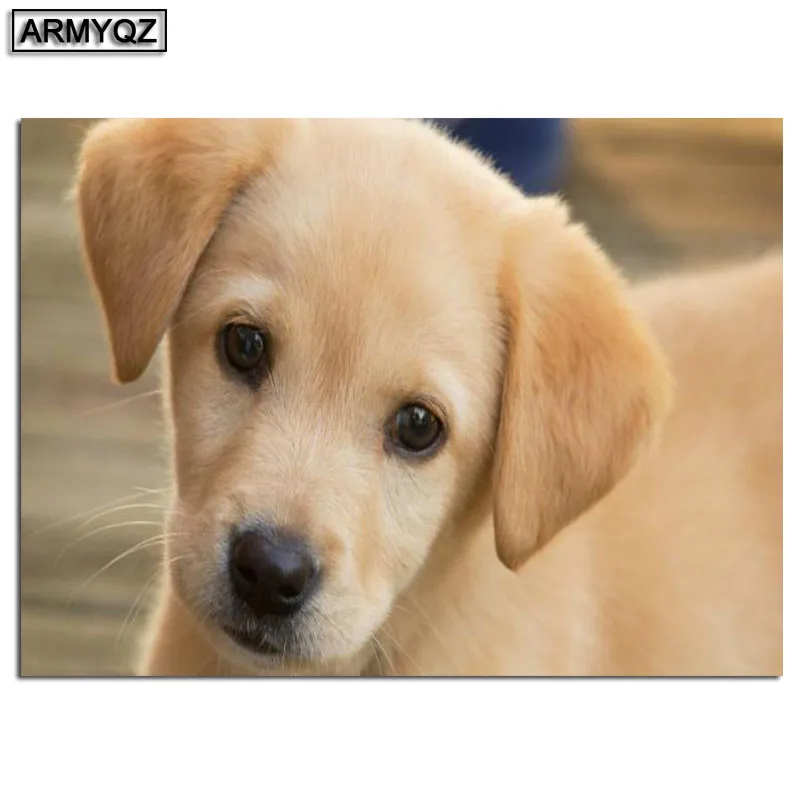 HTB1dvo2ayLrK1Rjy1zdq6ynnpXaI