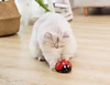 [MPK Store] Catch Me If You Can Super Fun Cat Toy, Pet Toy, Watch Our Video To Know More ► Photo 3/6