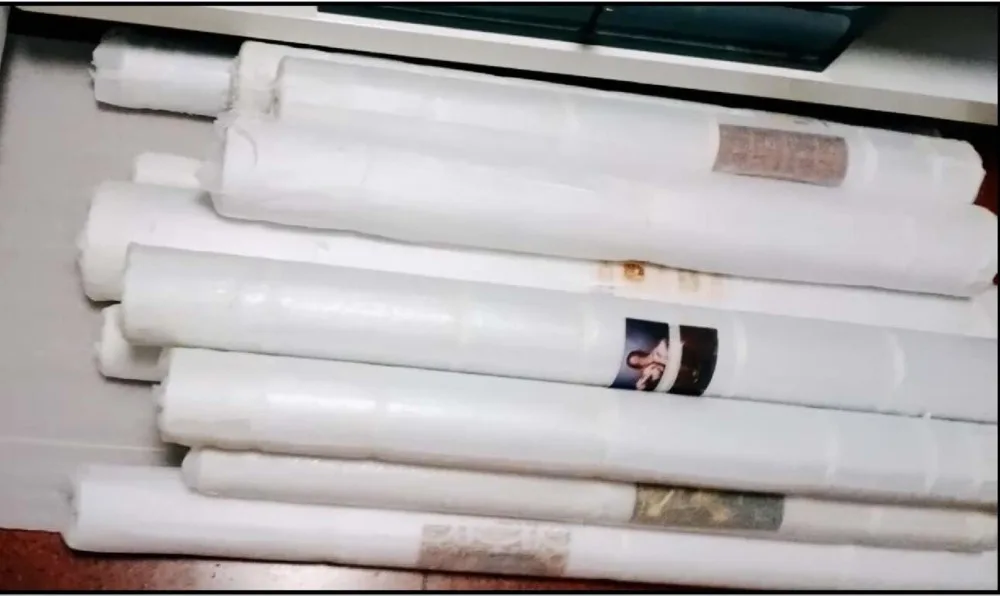 QQ图片20200915122239