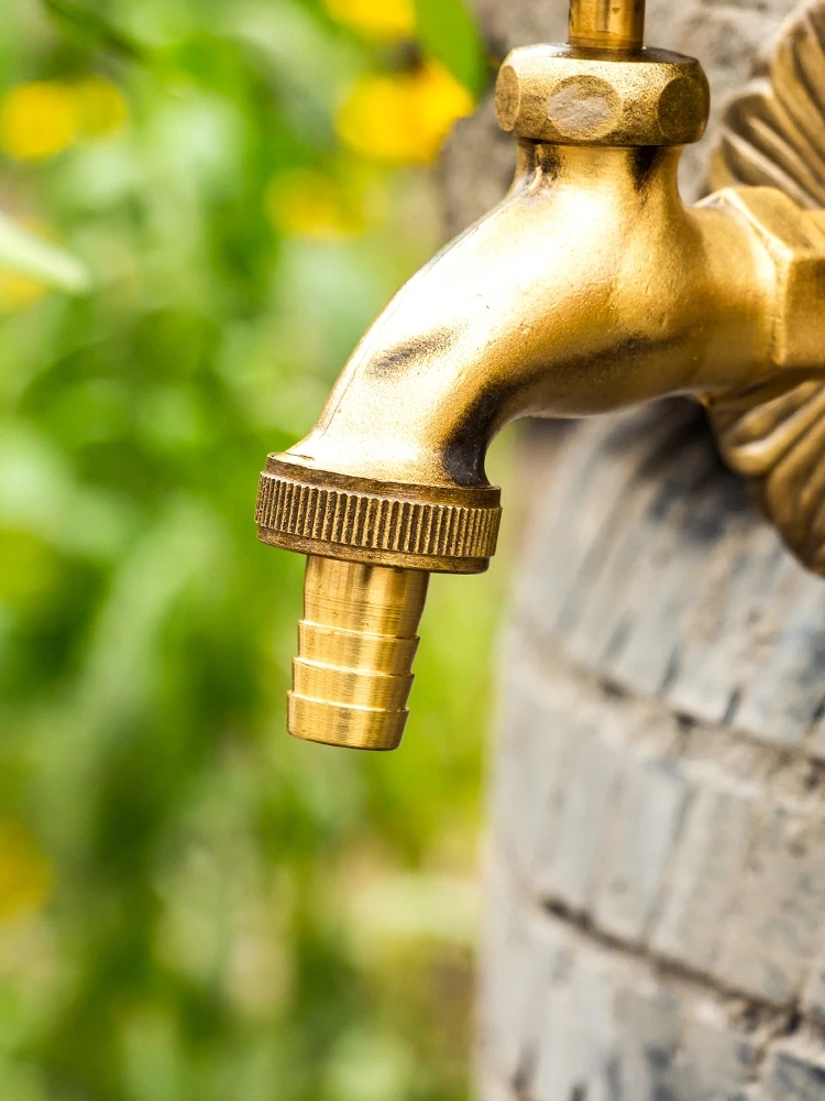 villa patio ao ar livre jardim animal 02