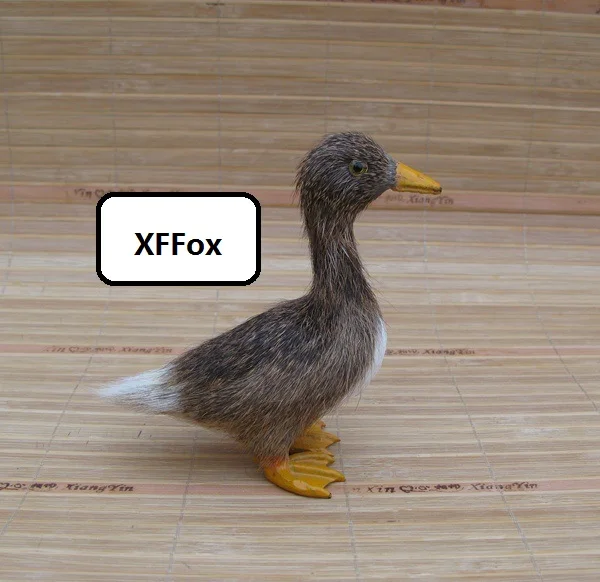 HTB17fVzKpXXXXbNXXXXq6xXFXXXM