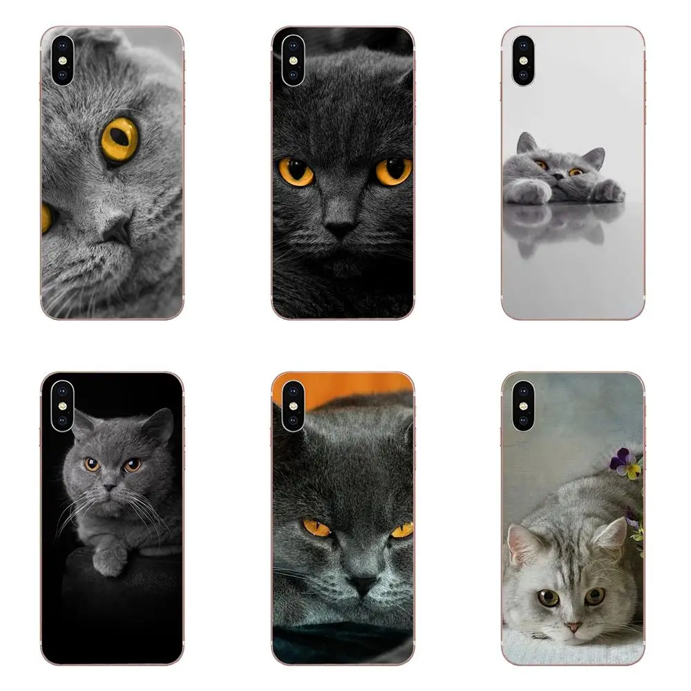 Британский короткошерстный топ с рисунком кошки для Galaxy J1 J2 J3 J330 J4 J5 J6 J7 J730 J8 2015 2016