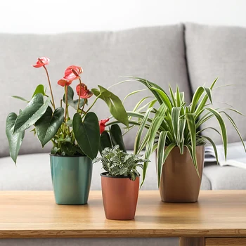 

Lazy Flower Pot Automatic Water Absorption Plant Hydroponic for Home Garden HKS99