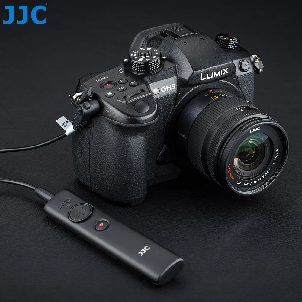 Camera Remote Shutter Release Video Controller for Panasonic G9 S1 S1H S1R G90 G95 G99 FZ1000 Mark II GH5 GH5s Replaces DMW-RS2