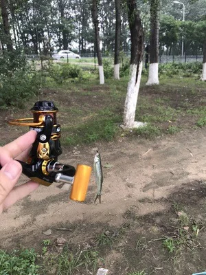 Подсолнечника Seed Sequin Set Stream Snakehead Rod IOUs Non Lure Help Cast Maker подсолнечника Seed Kernel медная блесна Set
