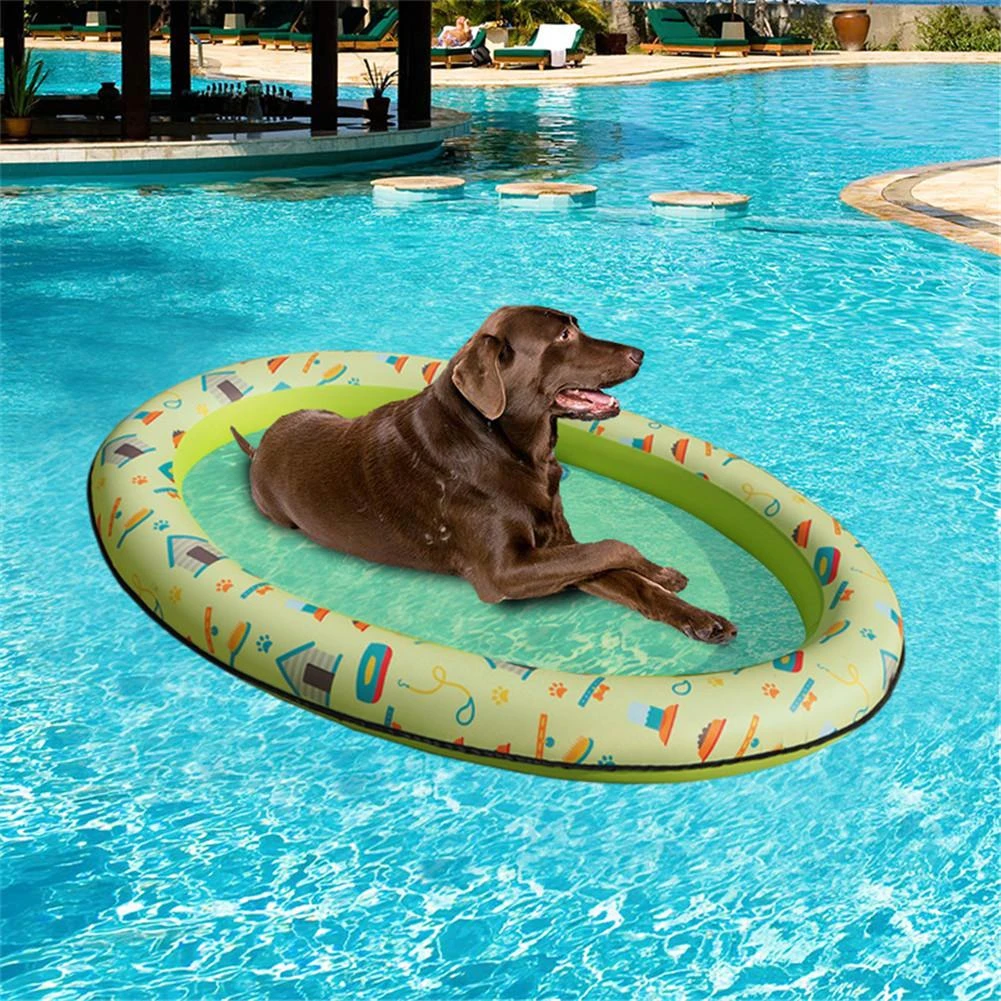 dog pool toys