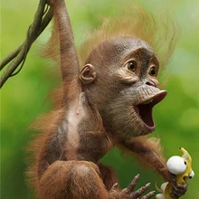 5D Сделай Сам на заказ Алмазная картина yikexin обезьяна животные брелок Рождественские открытки мозаичная картина украшение