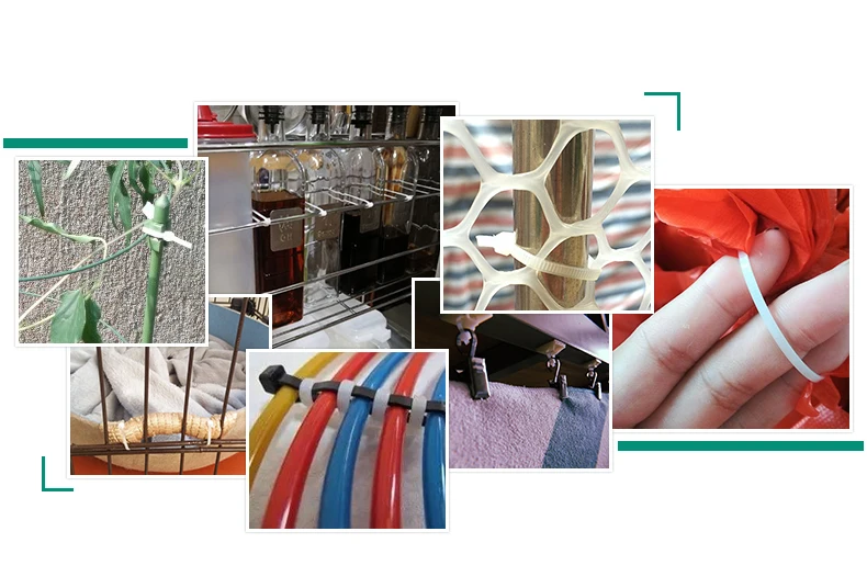 O1CN01MzyYys1cbXqcThNwX_!!688143619