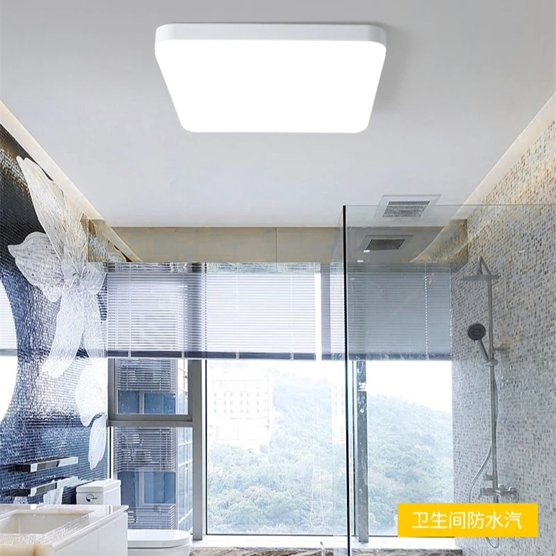 

Modern LED Ceiling Lamps Waterproof and Insect Proof Ceiling Lights Bathroom Bathroom Outdoor Balcony Aisle Lamp Fixtures