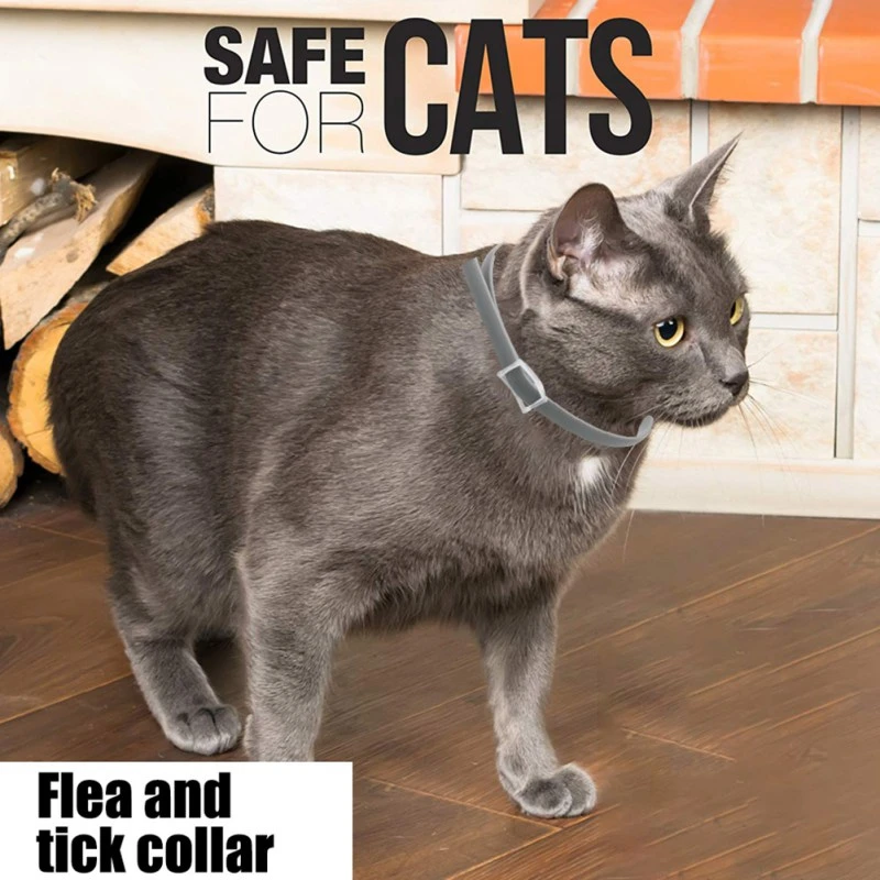 cat flea treatment collar