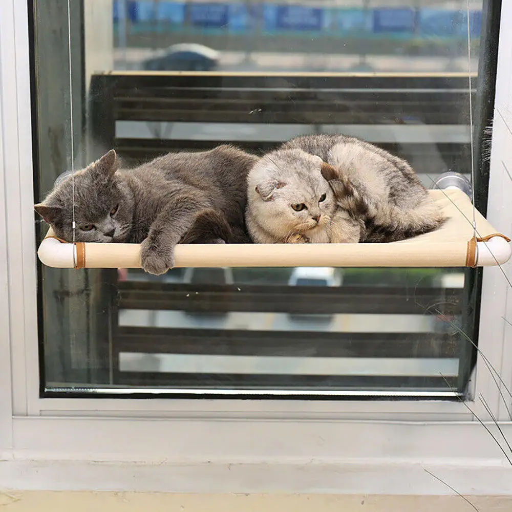 Оконные монтажные Pet Теплая постель супер присоска кошка солнце гамак легкая мягкая задняя панель из отдых дома