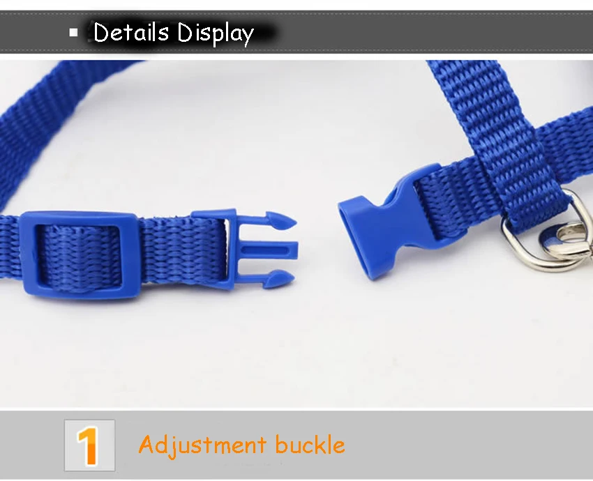 3817573287_1624998023