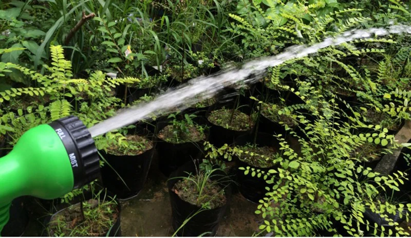 HTB1NXZUjlcHL1JjSZFBq6yiGXXaK