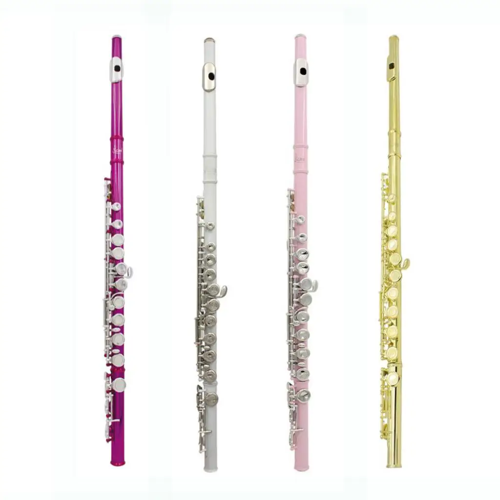 LADE 16 Closed Hole C Key Flute with Cleaning Cloth Stick Screwdriver Padded Box for Beginner Students Gift