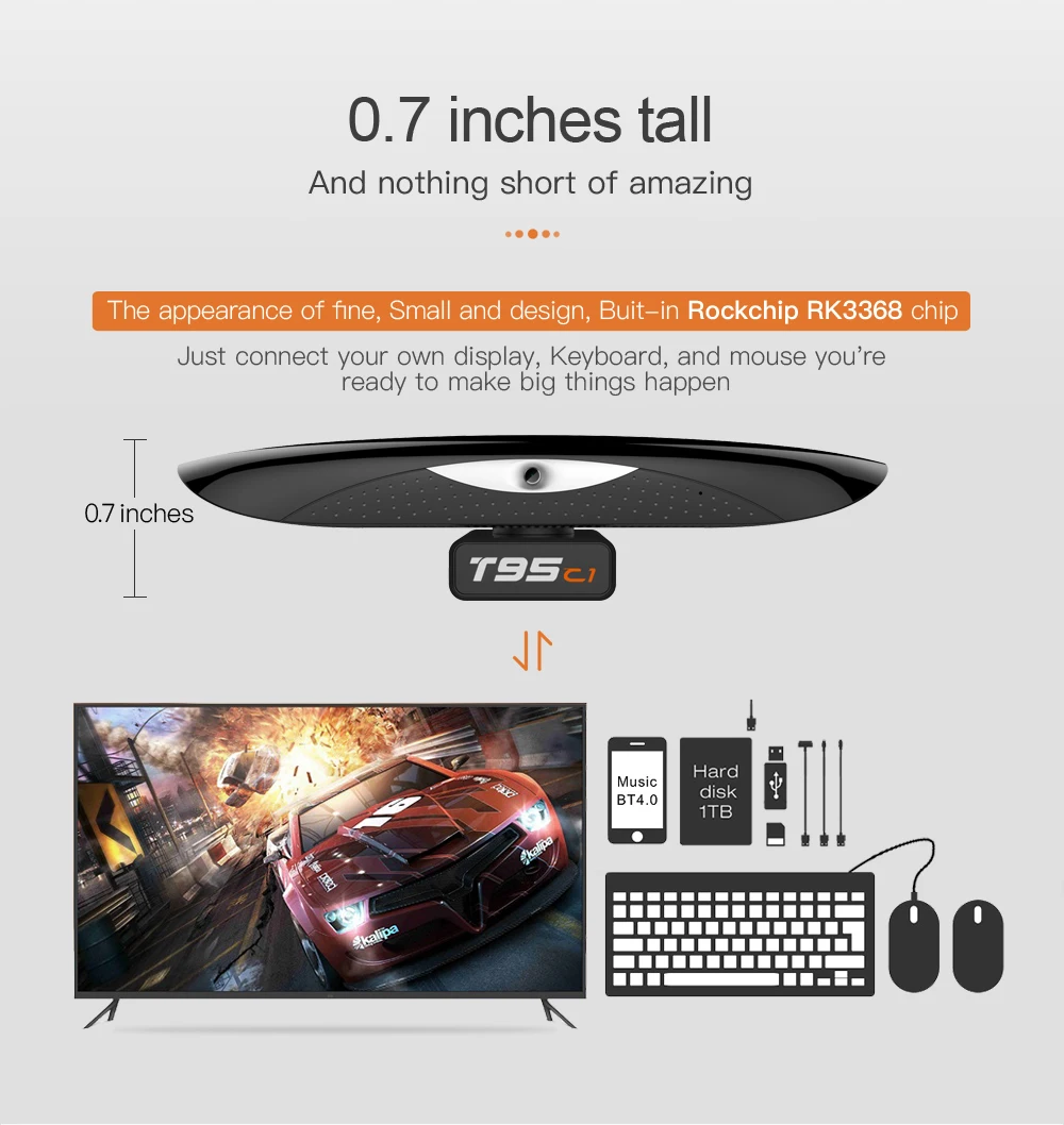 T95C1-09