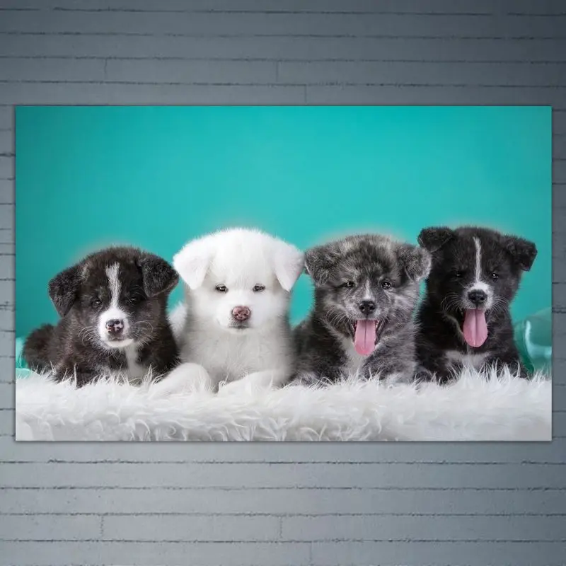 Dogs DIY 5D Full Drill Diamond Painting Embroidery Cross Stitch Kit Rhinestone  Home Decor Craft Q6PE