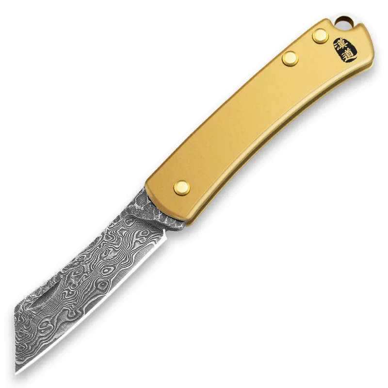 

Folding Knife Damascus Steel Knife Mini Fruit EDC Multi-function Portable Key Ring Pocket Knife