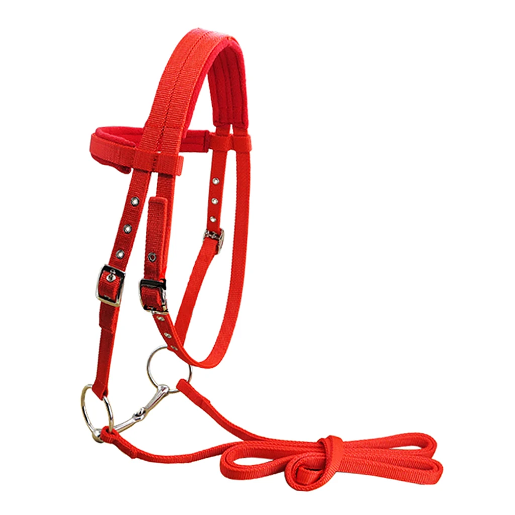 H5b45c501840440058bdac885e57d610dt