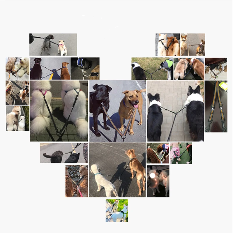 Truelove Dog Leash Double Leashes Running  Walking Dog Pet Reflective Nylon Adjustable Leashs For Two Dog Small Medium Large Pet (3) 1