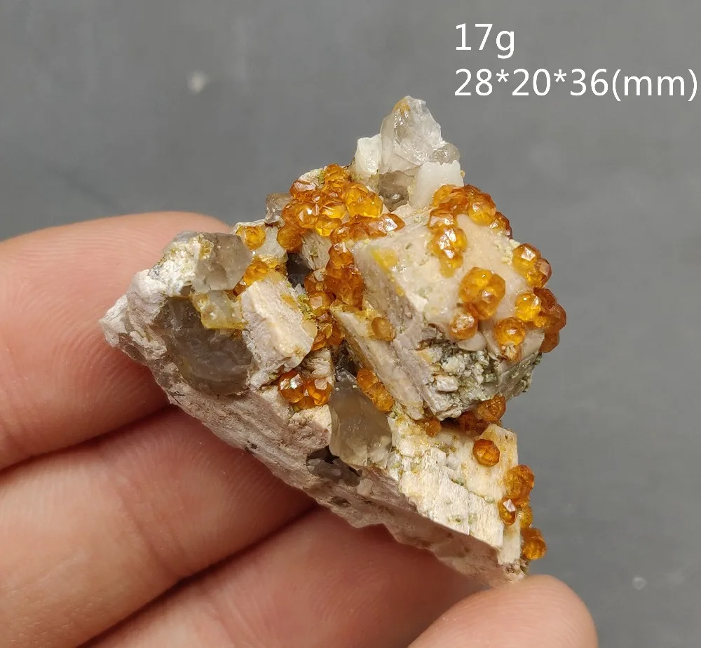 IMG_20191220_192811