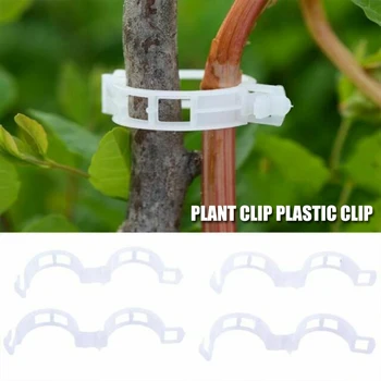 

100pcs/set Vegetable Holder Home Agricultural Vine Support Ornament Greenhouse Tomatoes Cucumbers Plant Clips Fruit Garden Tools