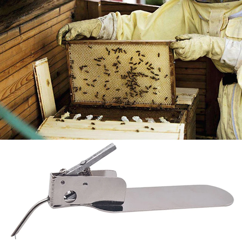 Пчеловодческий инструмент Queen Bee Larva движущаяся игла из нержавеющей стали
