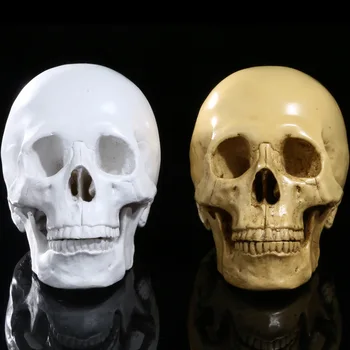 

Happy Halloween medical teaching simulation skull horror image realistic handmade resin carving crafts home decoration ornaments