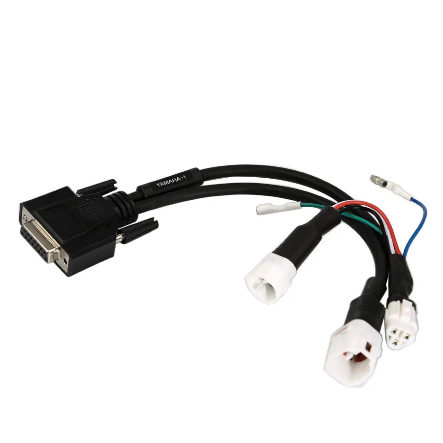 6848_P_1495869440257