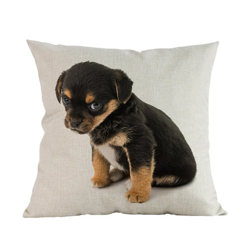 Cute-Puppy-Animal-Pet-Breed-Dogs-Dachshund-Corgi-Pomeranian-Shepherd-Labrador-Bulldog-Pillow-Case-Home-Shop.jpg_640x640 (18)