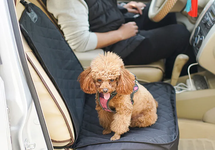 10377050932_936468010