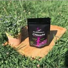 Альгамакс хлорелла-l-автомобильная форма порошка(50 г