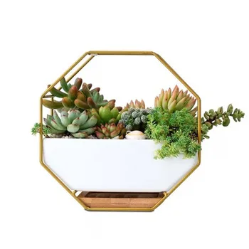 

Decorative Frame Minimalist Octagonal Geometric Wall Hanging Table Succulent Ceramic Flower Pot Bamboo Tray Iron Frame Set Craft