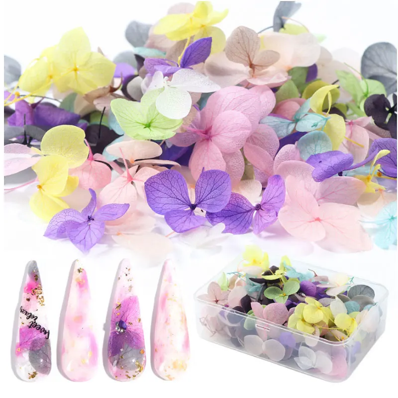 

1Bag Colorful Real Dried Flower Plant for Aromatherapy Candle Epoxy Resin Pendant Necklace Jewelry Making Craft DIY Accessories