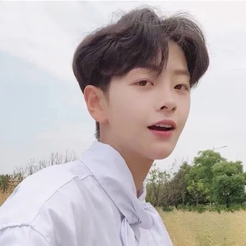 

LUPU Anime Cosplay Wig Black Short Straight Middle Part Hair Black Synthetic False Hair Christmas High Temperture Fiber