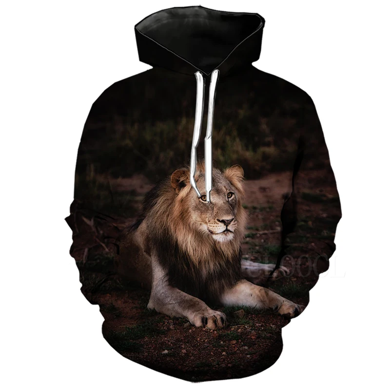 Lion Hoodies 2 Толстовки со львом больших размеров с принтом животных толстовки для мужчин/женщин Повседневный пуловер с капюшоном спортивный костюм куртка топы худи poleron hombre - Цвет: Lion Hoodies 2