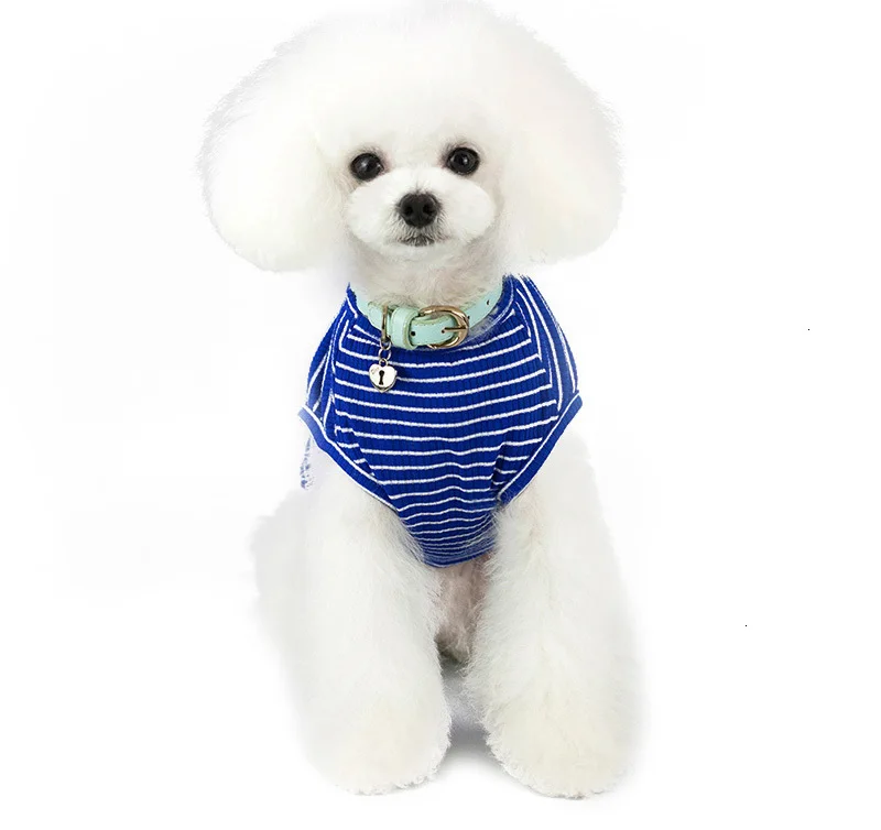 Pawstrip жилетка в полоску для собак летняя одежда для собак чихуахуа Ши тцу футболка со щенком одежда мягкая футболка для собак для маленьких собак S-2XL