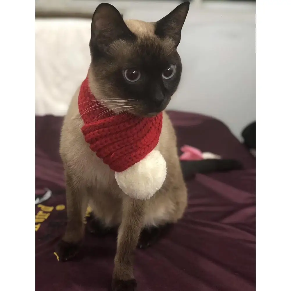 SaiDeng, милый теплый вязаный шарф с плюшевым шариком для осени и зимы, одежда для домашних животных, собак, Тедди