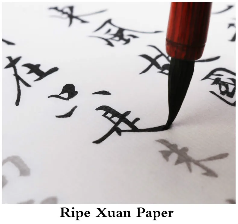 Chinesische Pinsel Kalligraphie Copybooks Herz Sutra Tao Te Ching Kopie Buch Miao Hong Student Anfänger Gedicht Xuan Papier Copybook Set – Detail 5