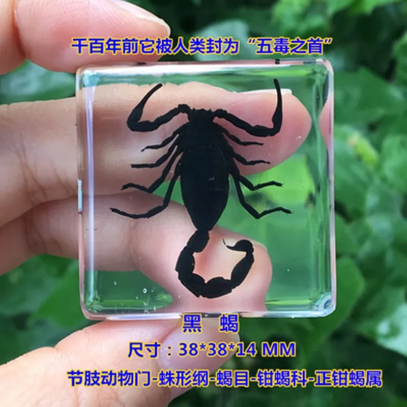 QQ图片20191007180007_副本