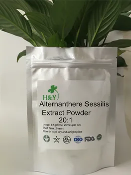 

150-1000g Free Shipping Herb Alternanthere Sessilis Extract Powder 20:1 In Bulk