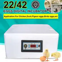 Caixa de incubação 22/42 ovos incubadora digital automático adequado para incubação lagartos cobra réptil caixa de reprodução com iluminação led